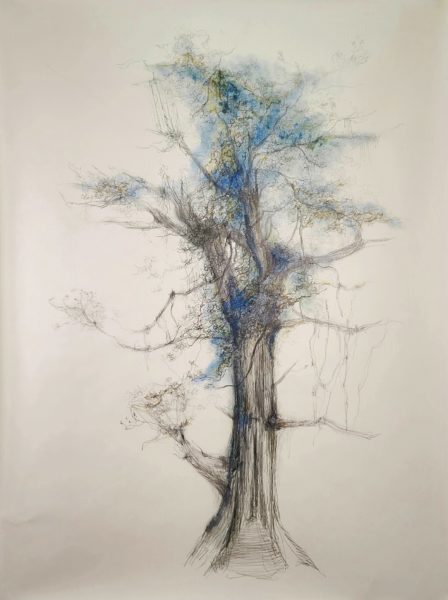 AK 002-23 Moon Tree 2, 2023, graphite on rice paper mounted on canvas, cm162x117,5x -LR