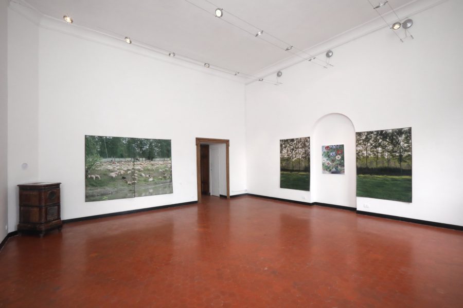 SA - installation view Studio SALES & Baleno, 20giu24 -2:6 -LR